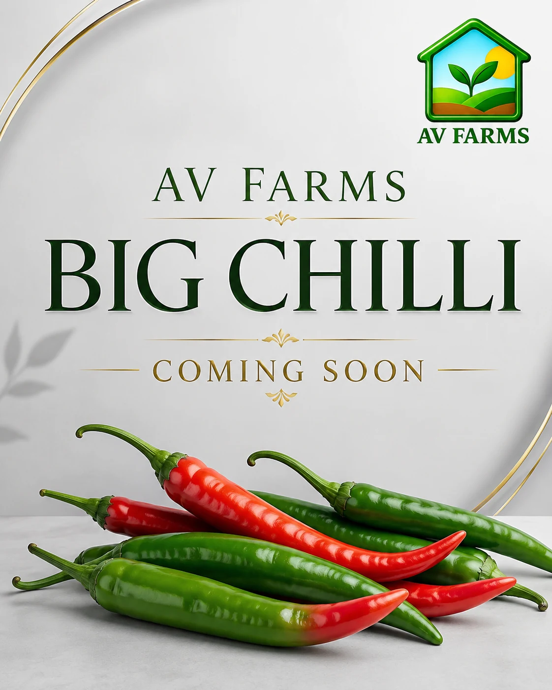 Greenhouse 2 - Big Chilli at AV FARMS LIMITED