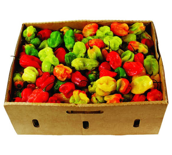 Bulk box of habanero peppers