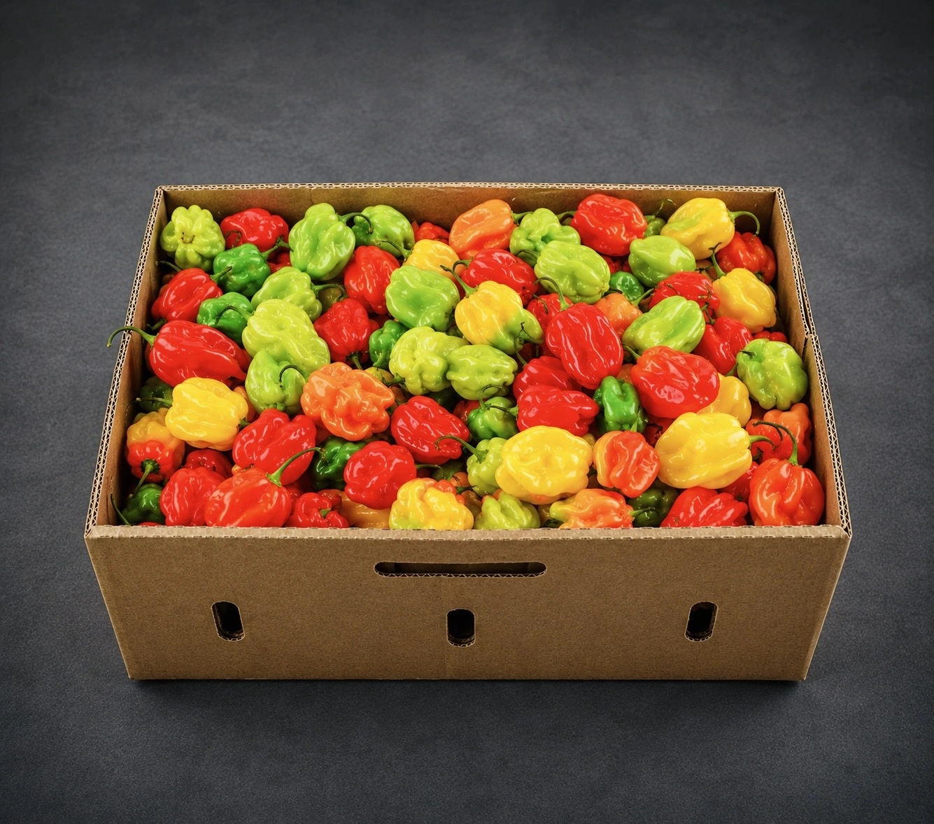 Box of habanero peppers for bulk buyers from AV FARMS LIMITED