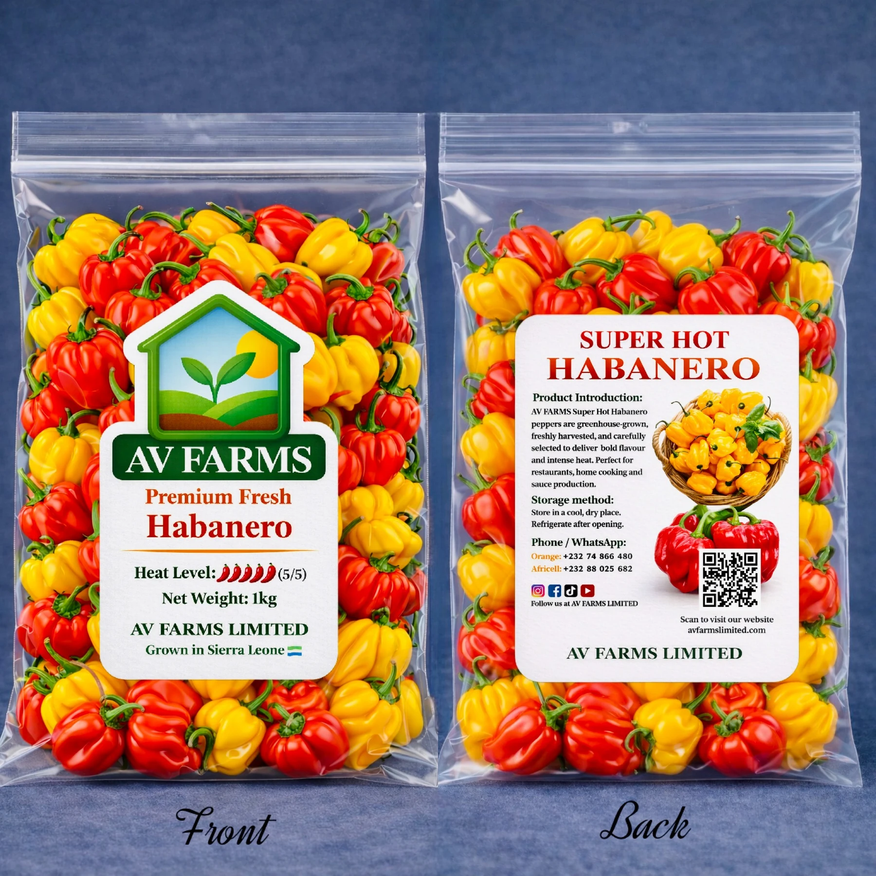 Greenhouse 1 - Habanero Pepper at AV FARMS LIMITED